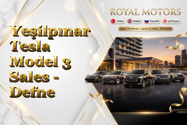 Yeşilpınar Tesla Model 3 Sales - Defne