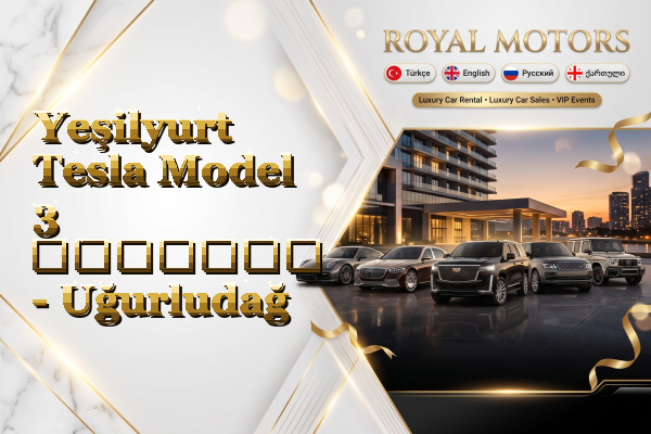 Yeşilyurt Tesla Model 3 გაყიდვა - Uğurludağ
