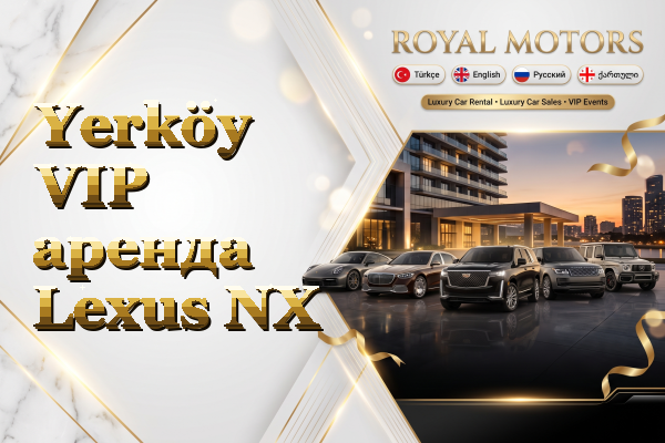 Yerköy VIP аренда Lexus NX