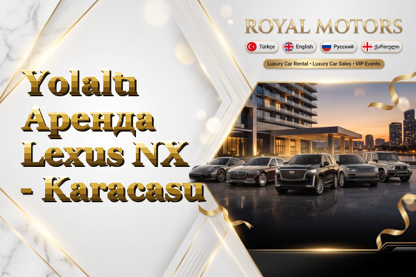 Yolaltı Аренда Lexus NX - Karacasu