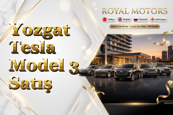Yozgat Tesla Model 3 Satış