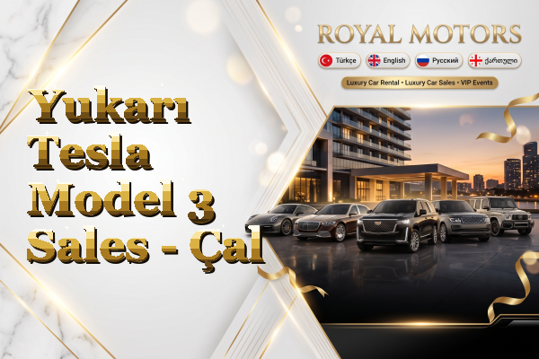 Yukarı Tesla Model 3 Sales - Çal