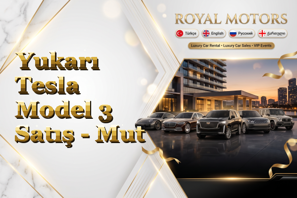 Yukarı Tesla Model 3 Satış - Mut