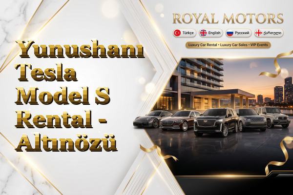 Yunushanı Tesla Model S Rental - Altınözü