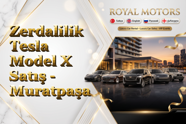 Zerdalilik Tesla Model X Satış - Muratpaşa