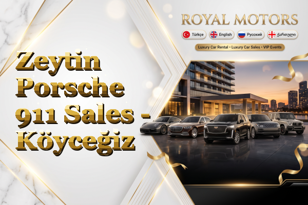 Zeytin Porsche 911 Sales - Köyceğiz