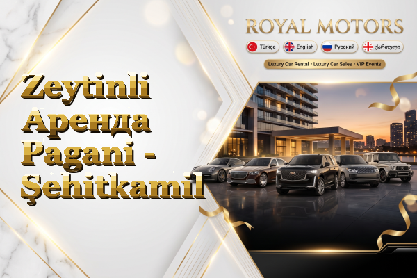Zeytinli Аренда Pagani - Şehitkamil