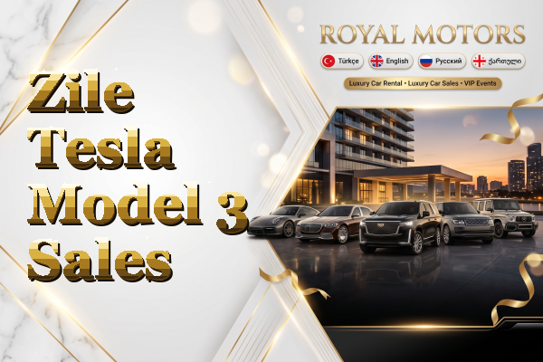 Zile Tesla Model 3 Sales